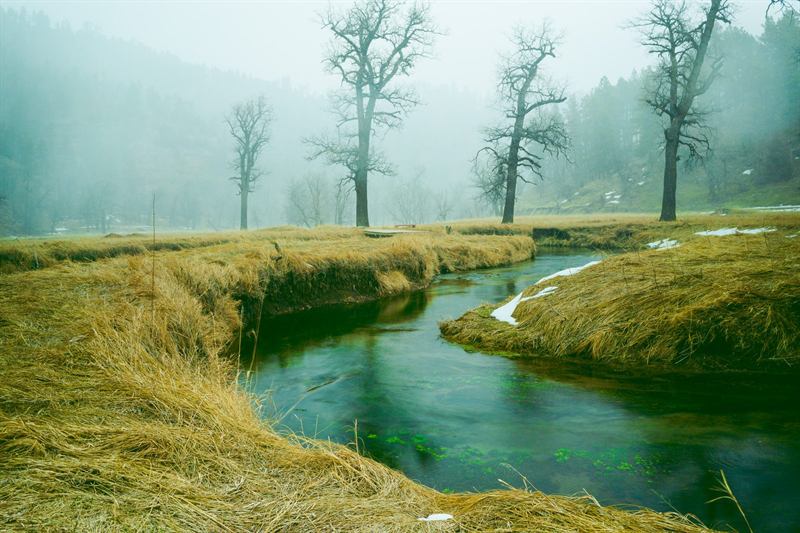 Winter Meadow Stream